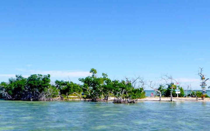 florida gap year wilderness program